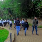 white dove college